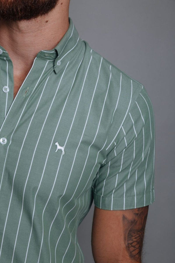 Camisa Manga Corta Rayas Verde (Slim Fit) - Victor
