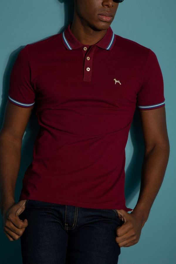 Polo Fashion Vinotinto (Custom Fit)