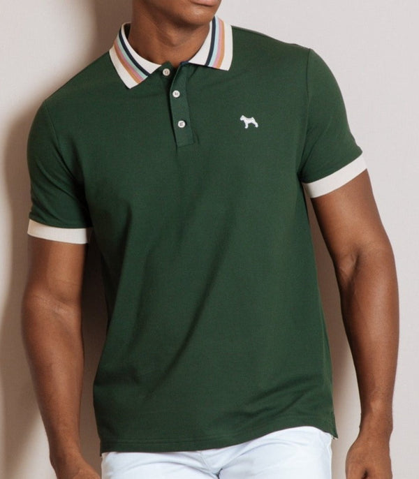 Polo Fashion Verde Cuello Colores